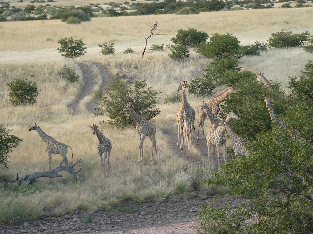 Etendeka Mountain Camp Damaraland Extérieur photo