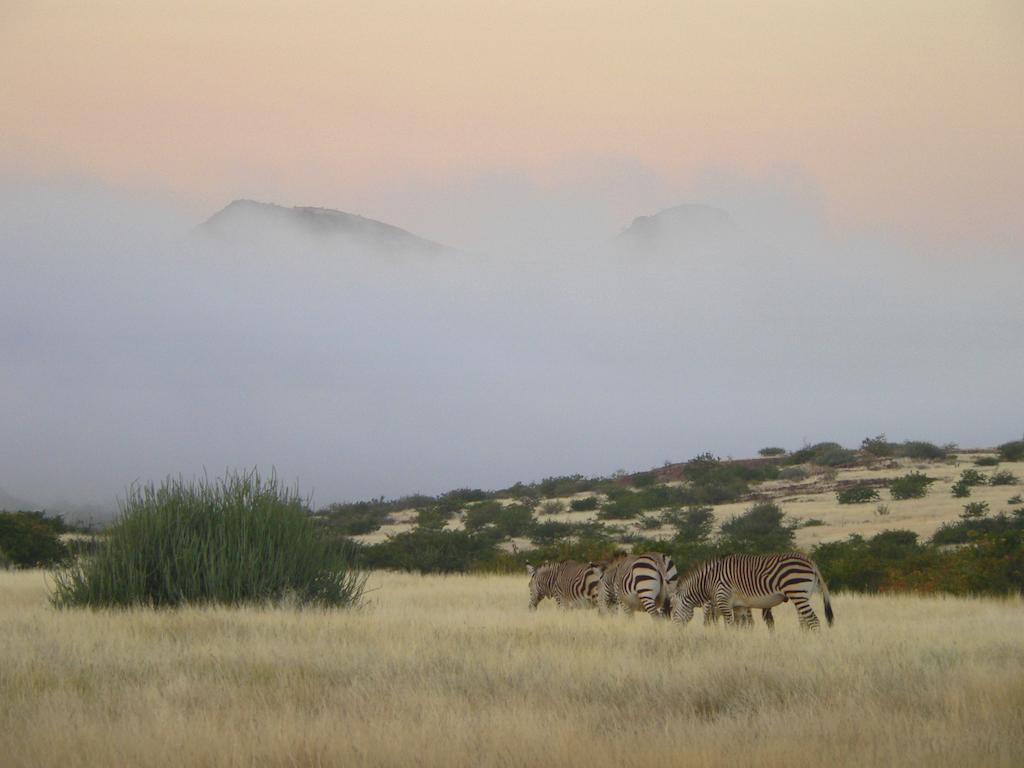 Etendeka Mountain Camp Damaraland Extérieur photo