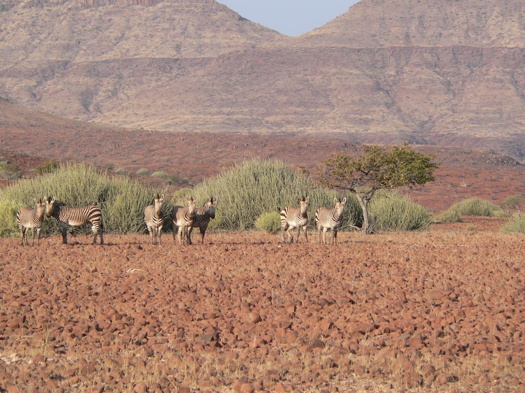 Etendeka Mountain Camp Damaraland Extérieur photo
