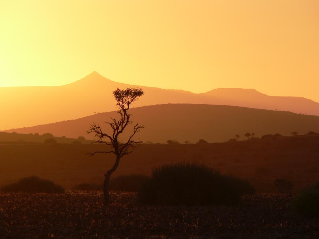 Etendeka Mountain Camp Damaraland Extérieur photo
