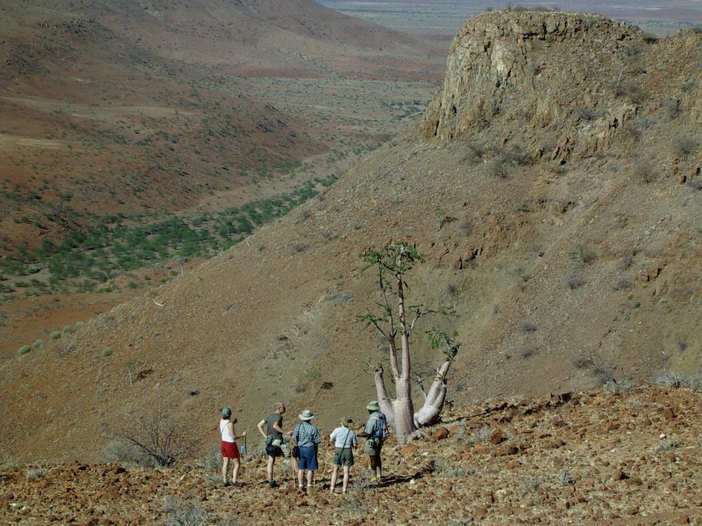 Etendeka Mountain Camp Damaraland Extérieur photo